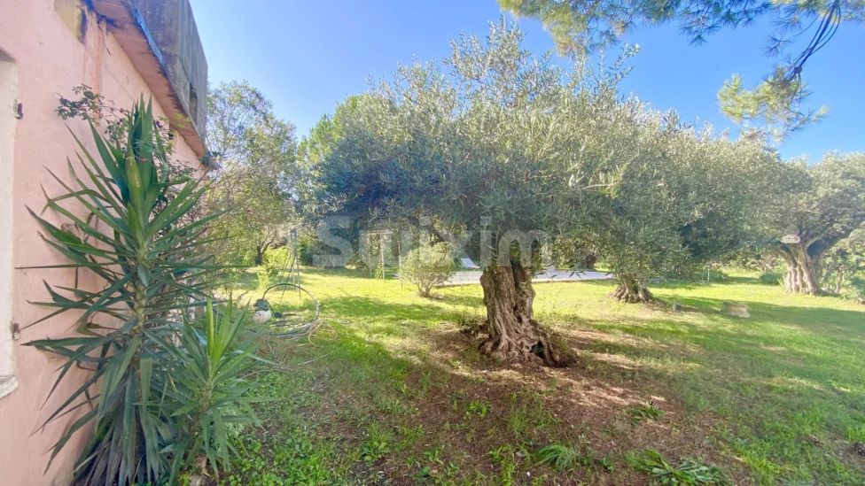 Vente Maison Montfrin 1&nbsp;pièce 70&nbsp;m²