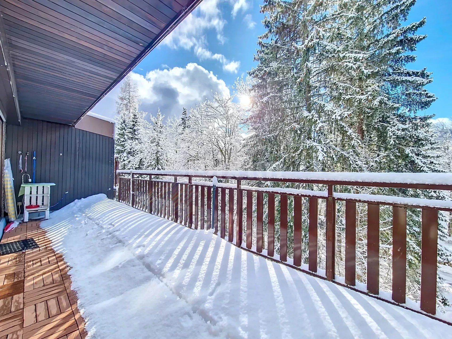 appartement 2.5 Pièces en vente sur Saint-Cergue (1264)