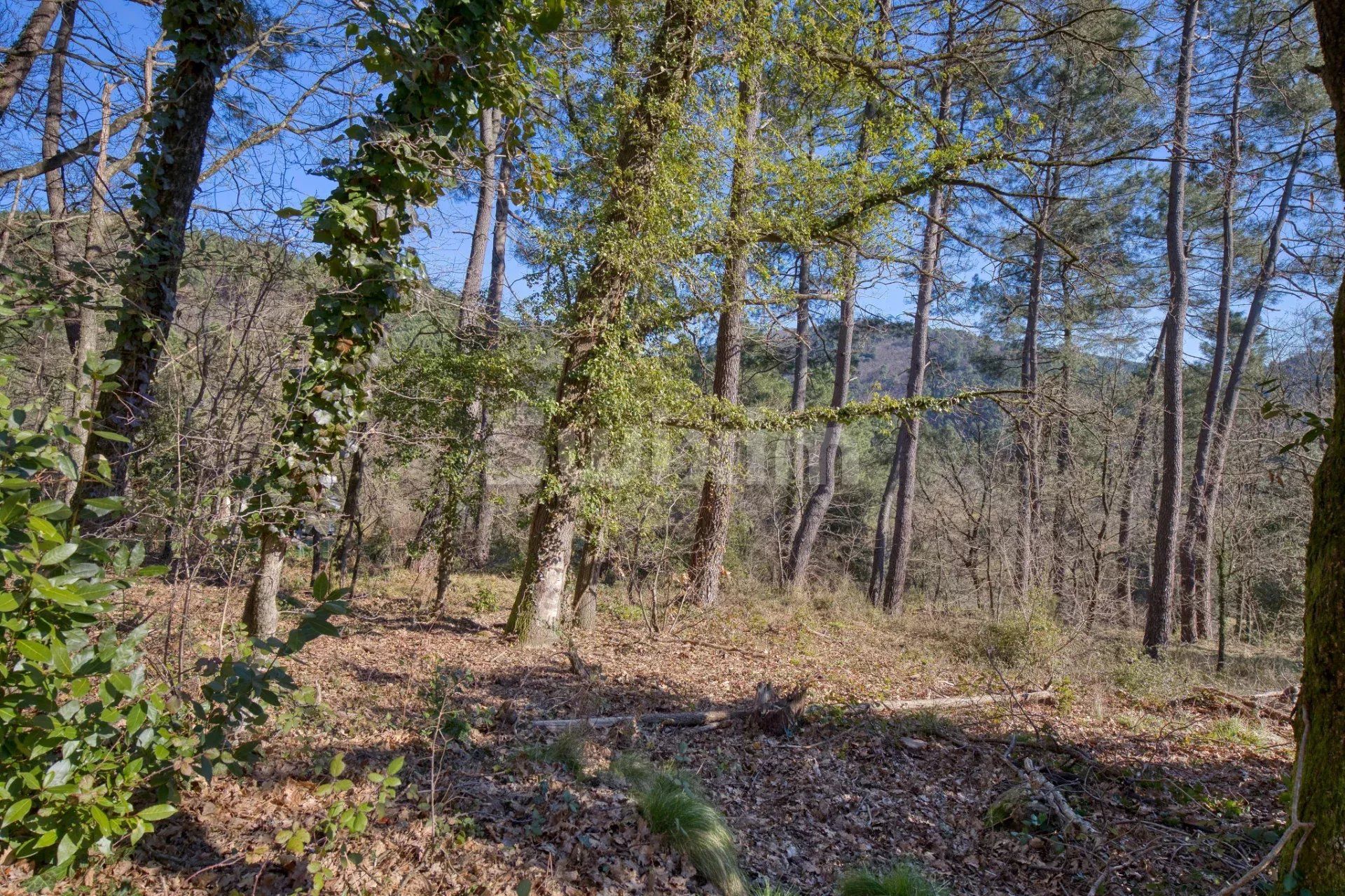 terrain en vente sur Portes (30530)