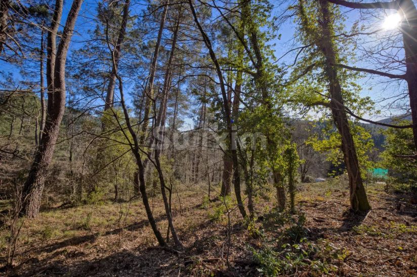 Vendita Terreno Portes 1500 m²