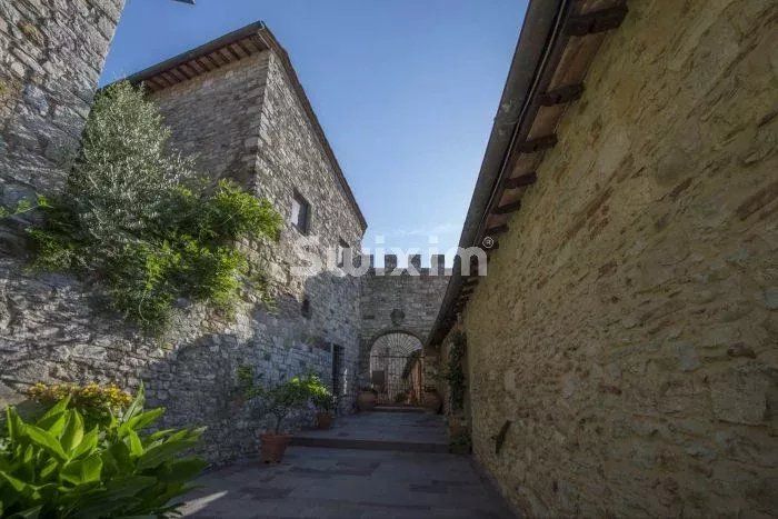 wine estate 30 Rooms for sale on Siena (53100)
