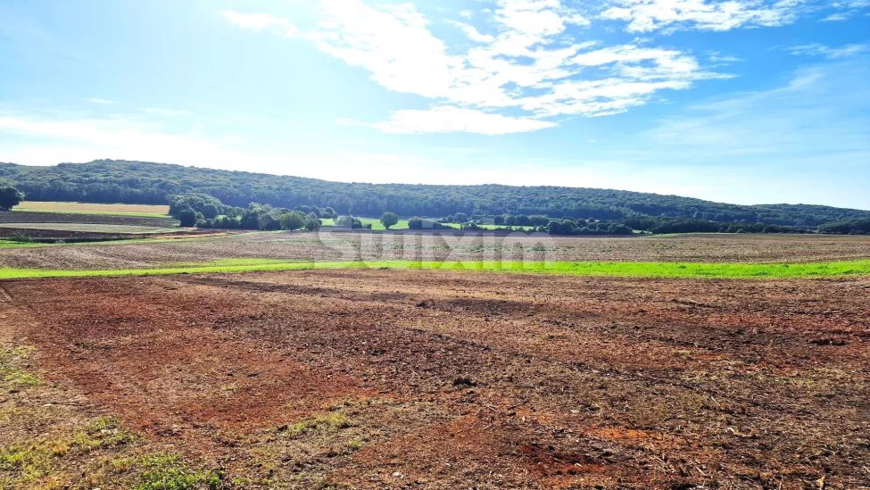 Venta Terreno edificable Avrigney-Virey 880 m²