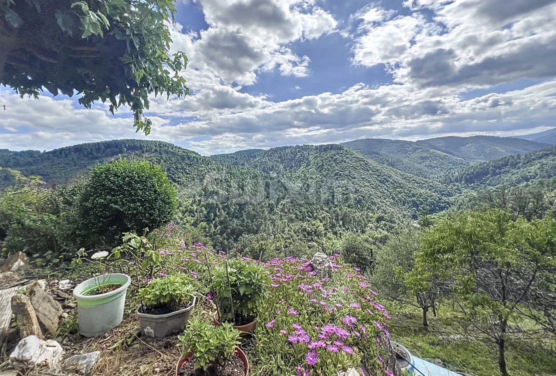 villa 6 Camere in vendita su Génolhac (30450)