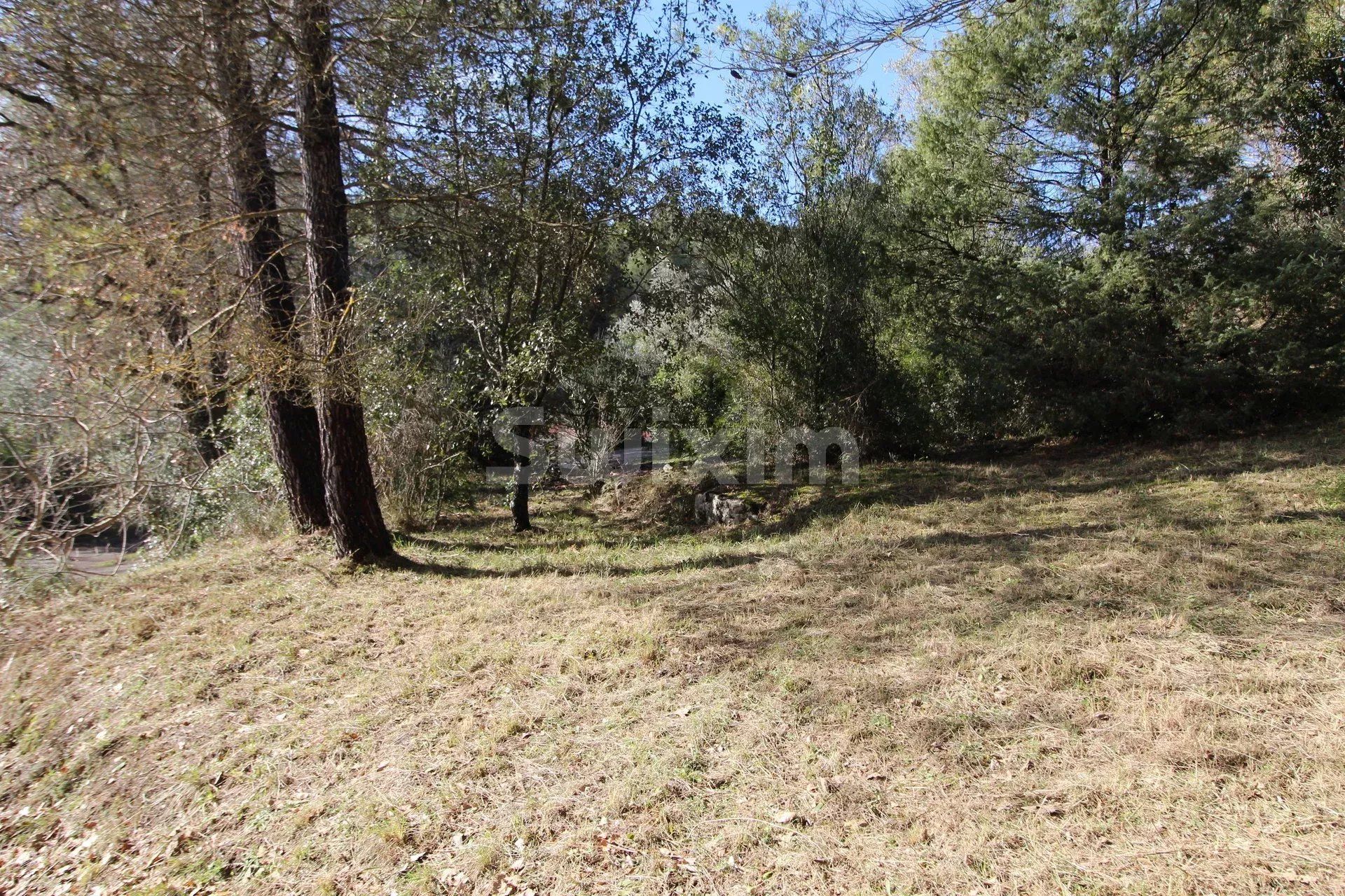 terrain à bâtir en vente sur Callas (83830)