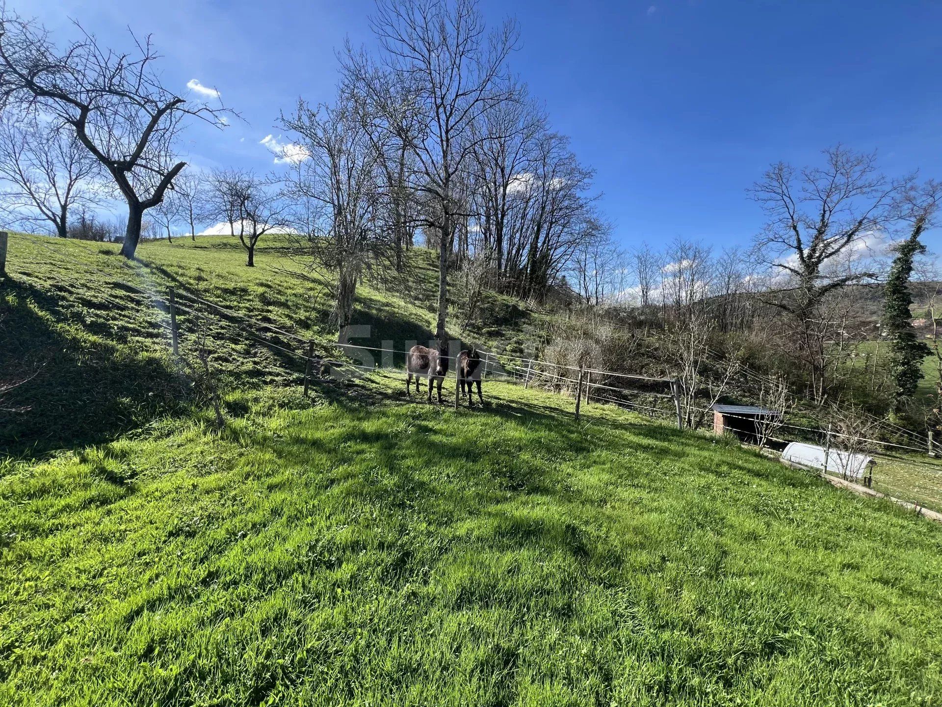 maison 12 Pièces en vente sur Lons-le-Saunier (39000)