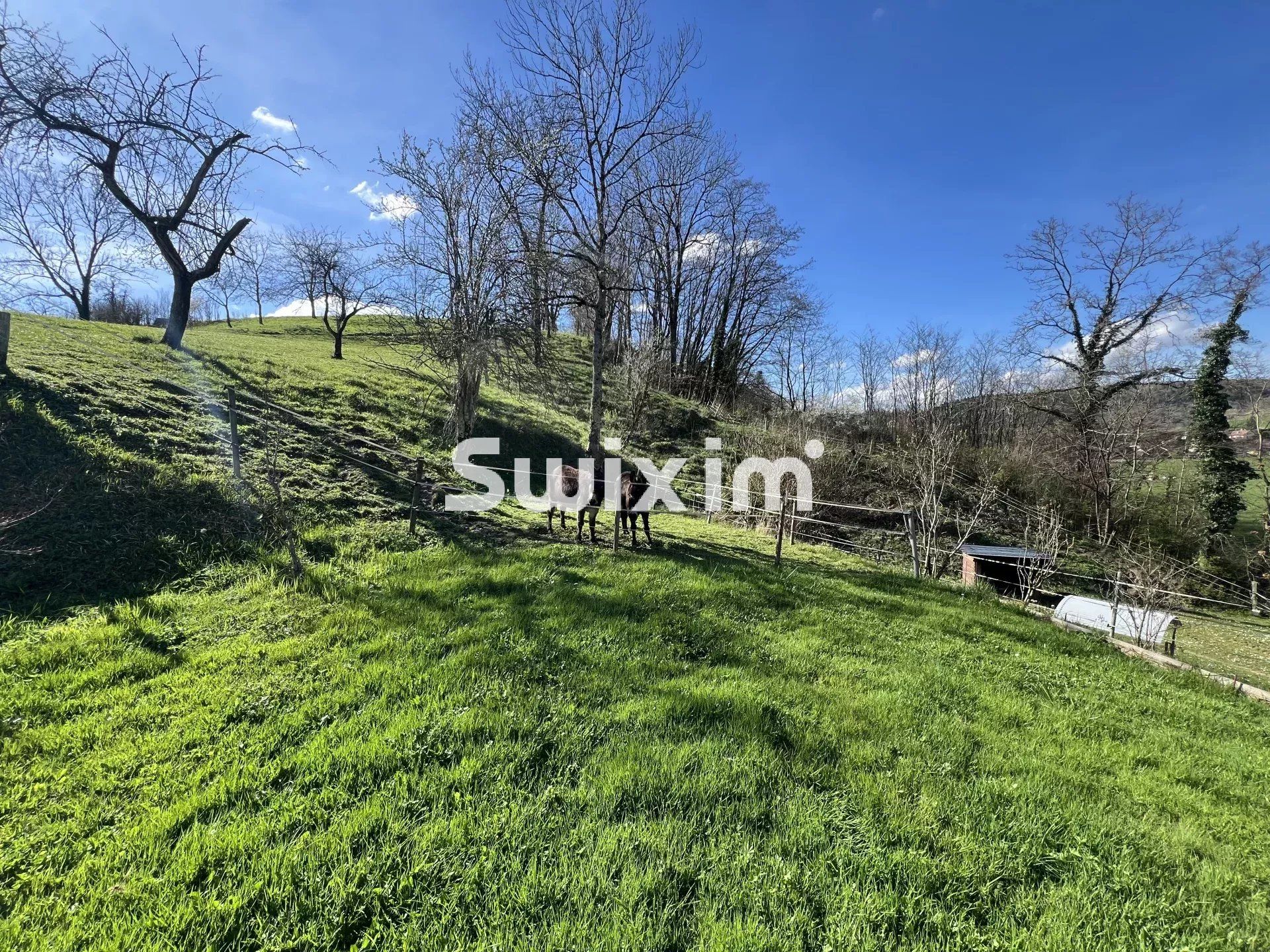 house 12 Rooms for sale on Lons-le-Saunier (39000)