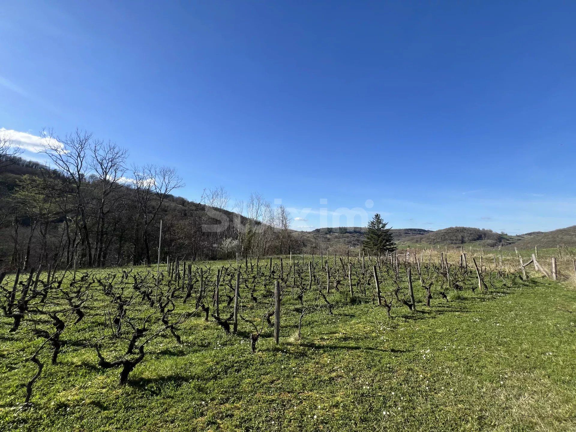 maison 12 Pièces en vente sur Lons-le-Saunier (39000)