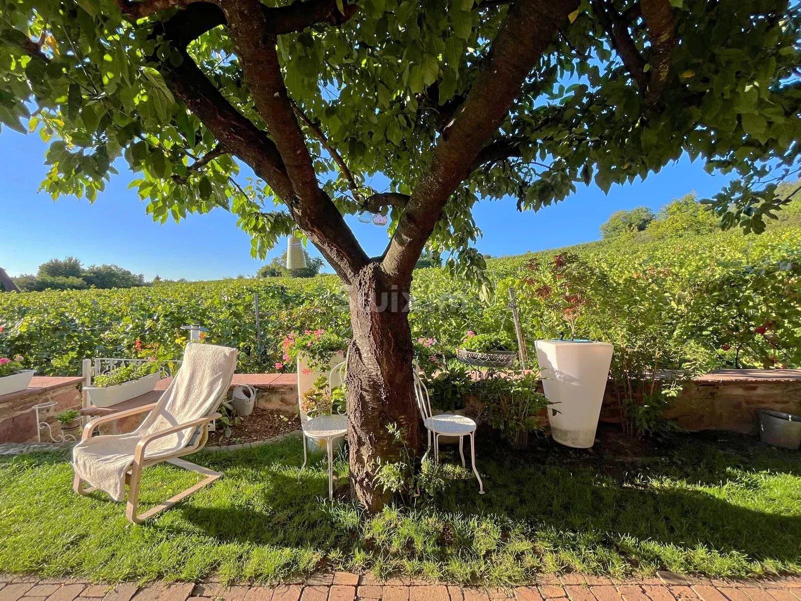 maison 6 Pièces en vente sur Riquewihr (68340)