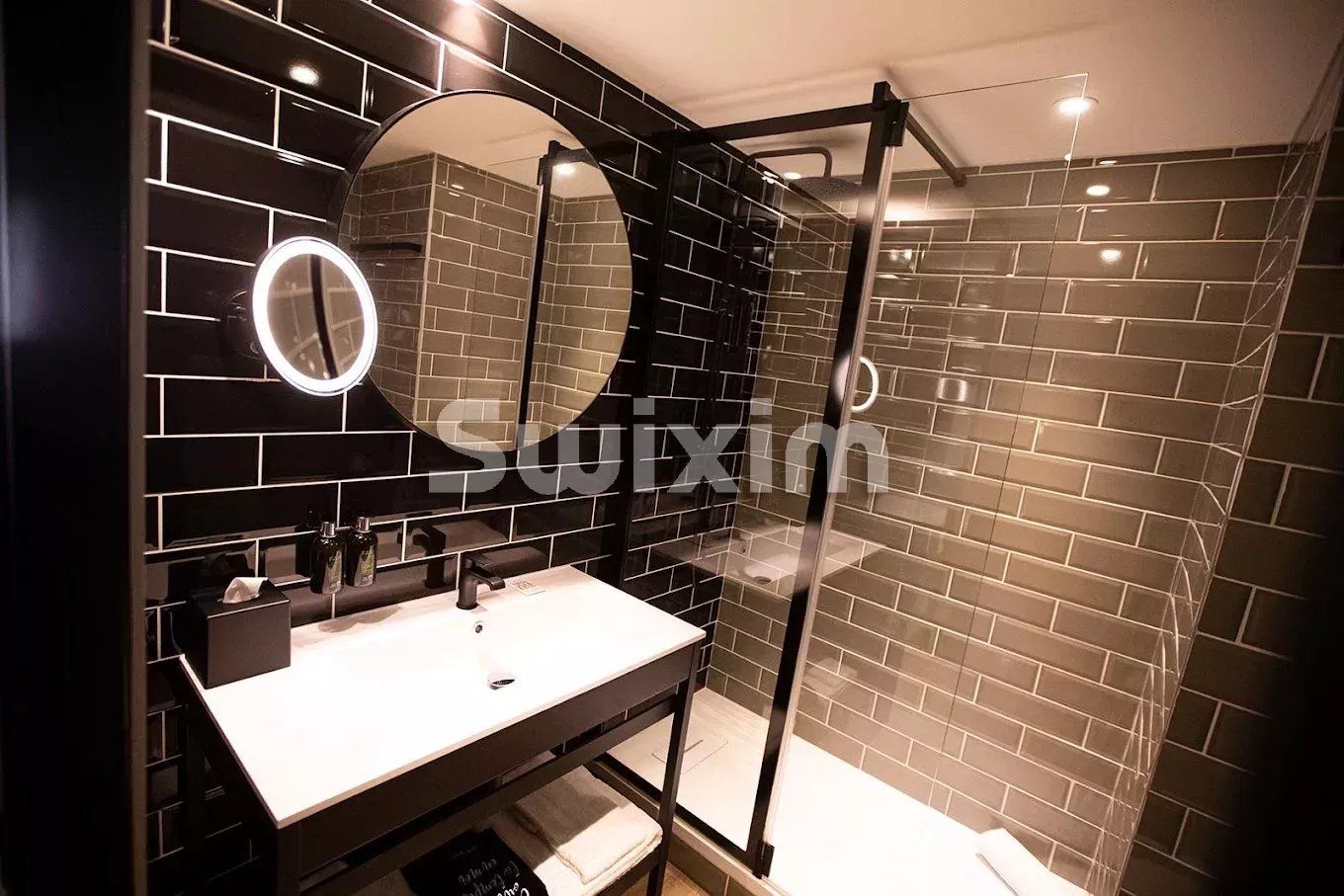 appartement 1 pièce en vente sur Ferney-Voltaire (01210)