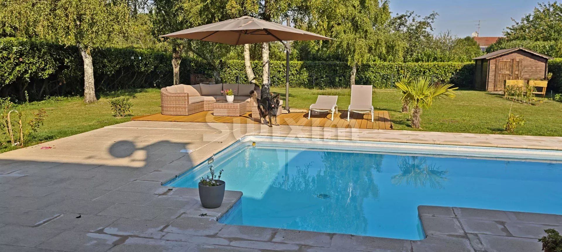 maison 8 Pièces en vente sur Damparis (39500)