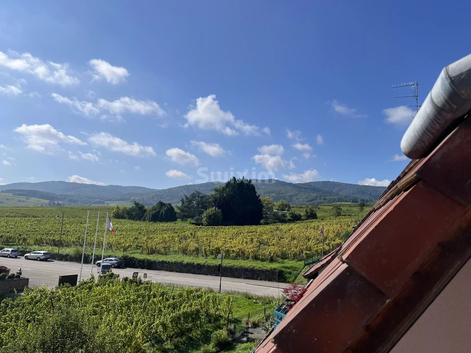 appartement 6 Pièces en vente sur Ribeauvillé (68150)