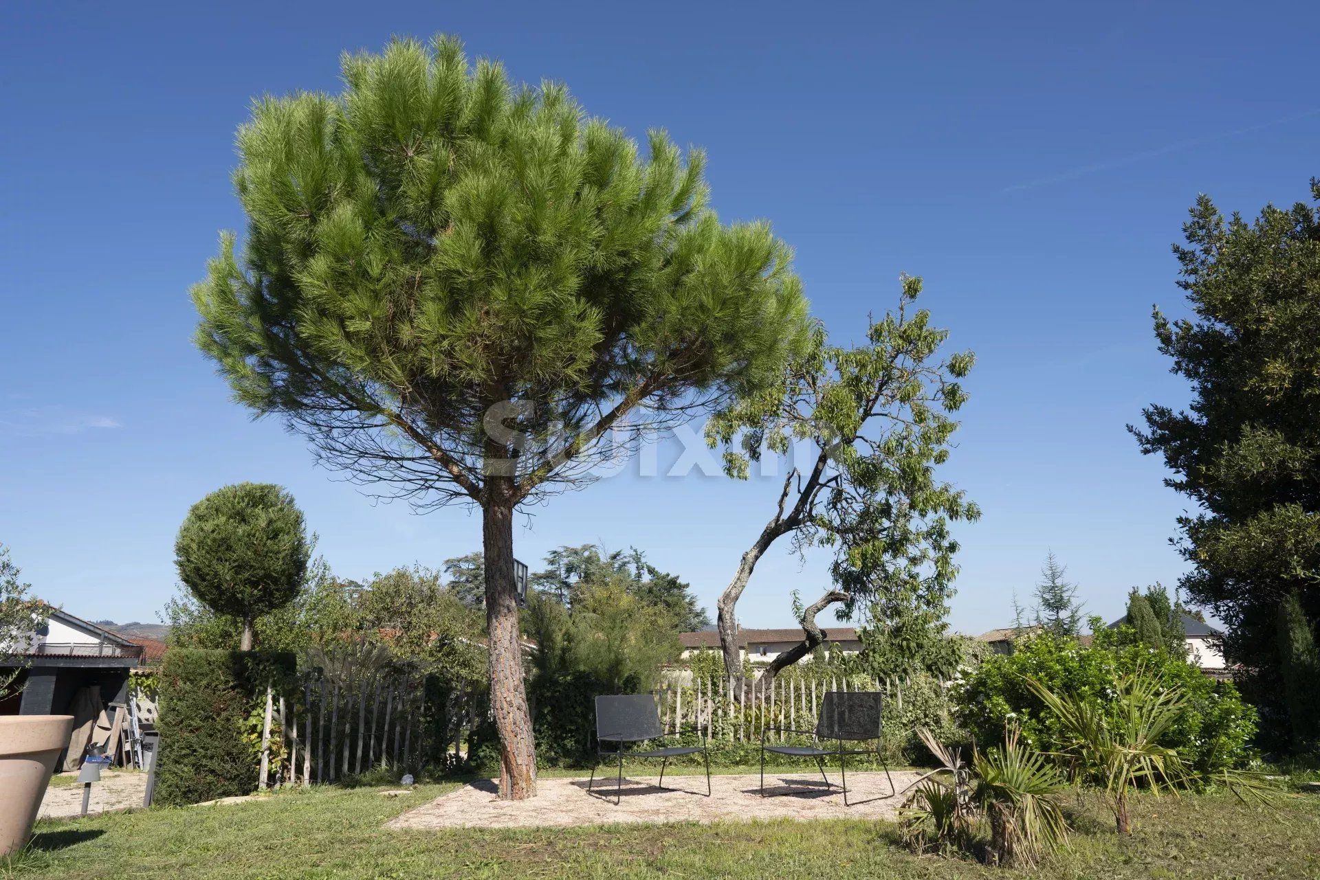 maison 10 Pièces en vente sur Lancié (69220)