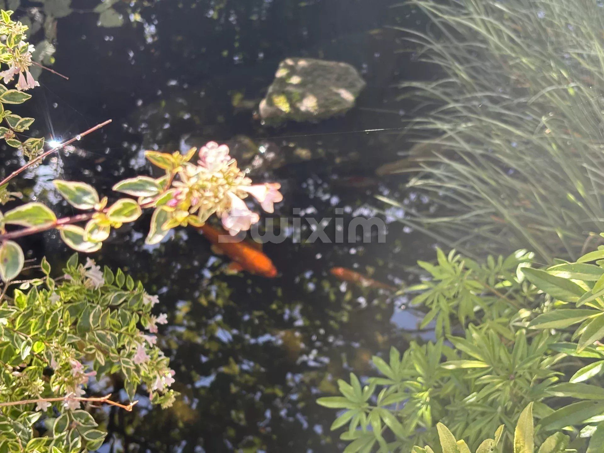 maison 5 Pièces en vente sur Bard-lès-Époisses (21460)