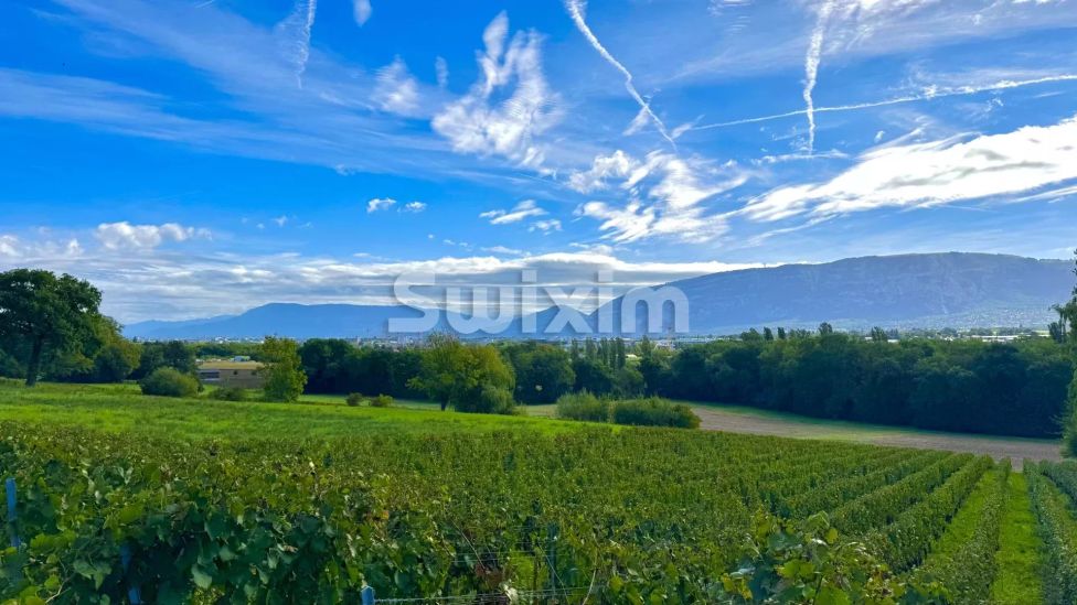 Vente Villa Thônex 7 Pièces 180 m²