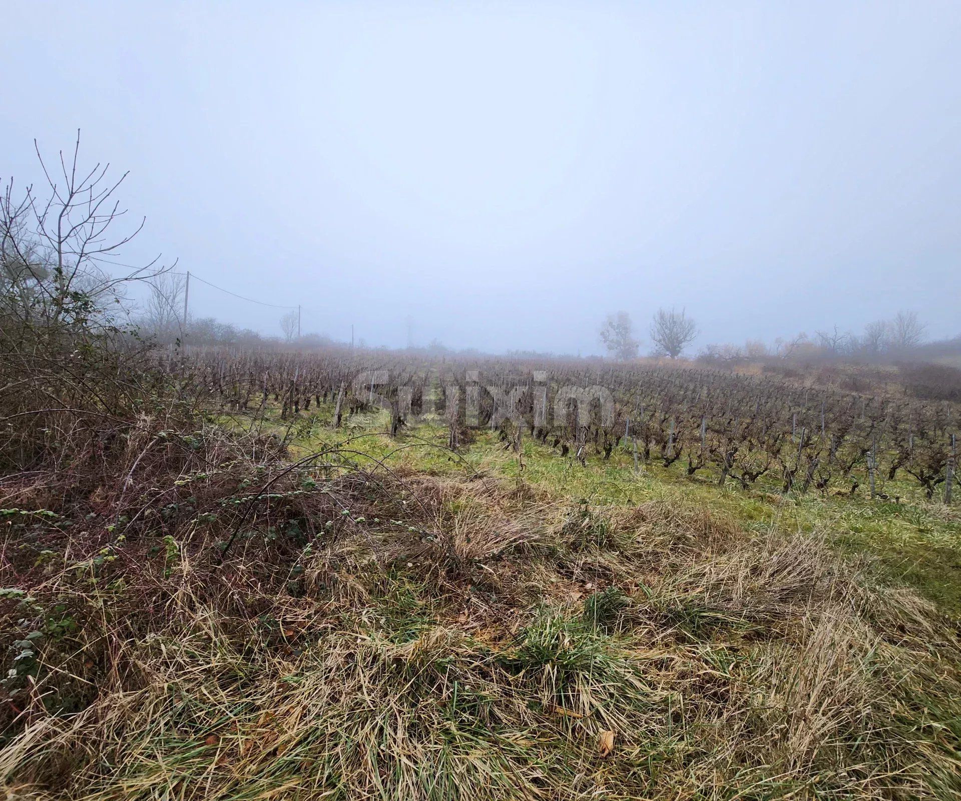 locale industriale 1 camera in vendita su Buvilly (39800)