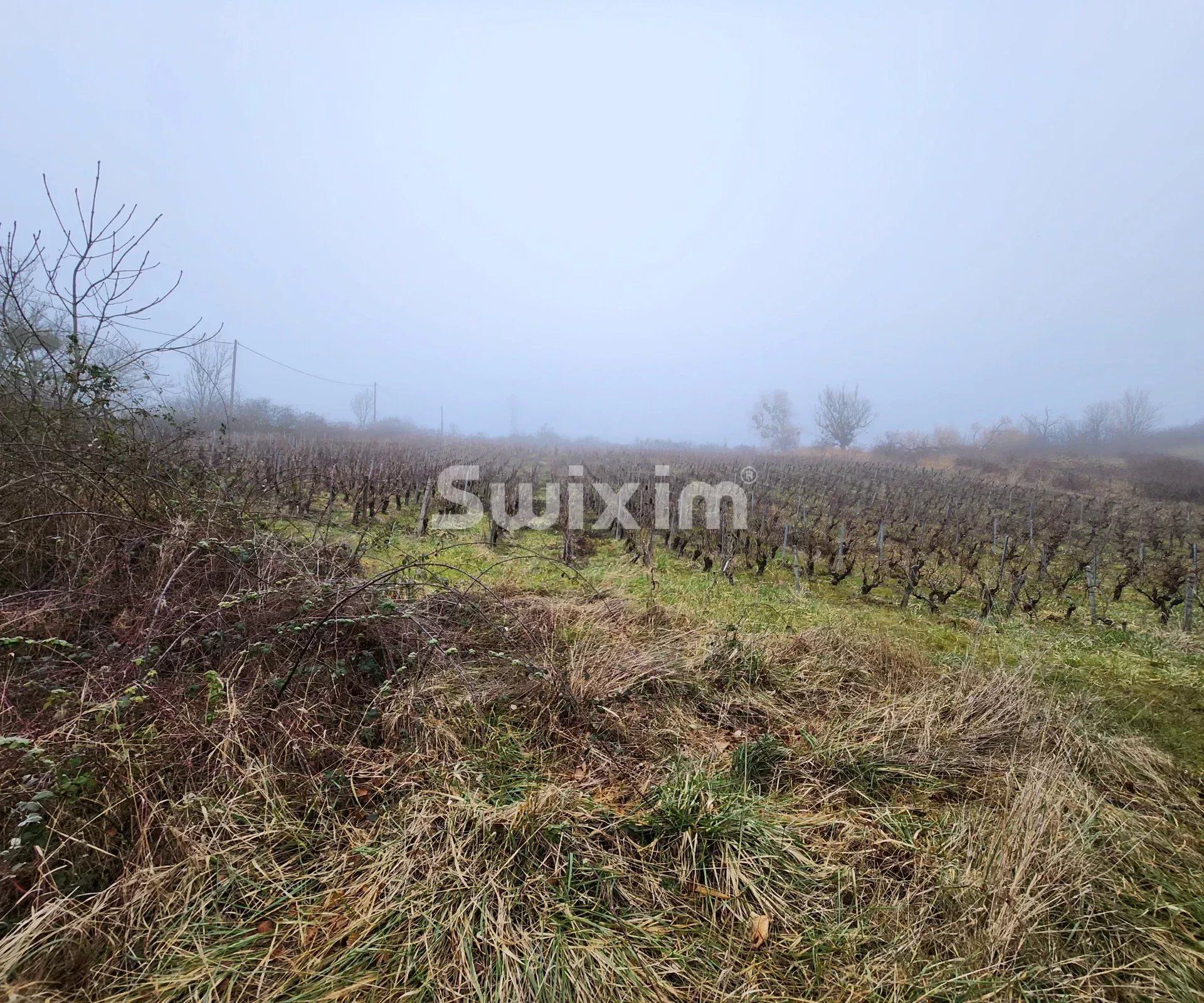 entrepôt 1 pièce en vente sur Buvilly (39800)