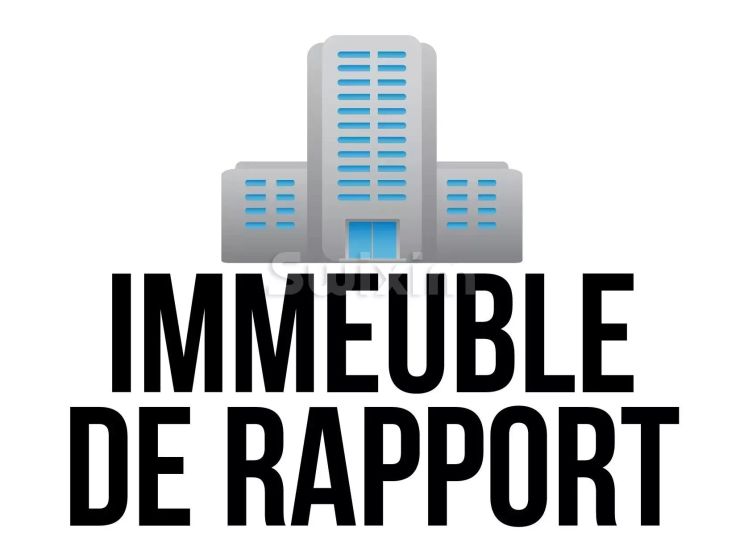 Vente Immeuble Thyez 17 Pièces 354.68 m²