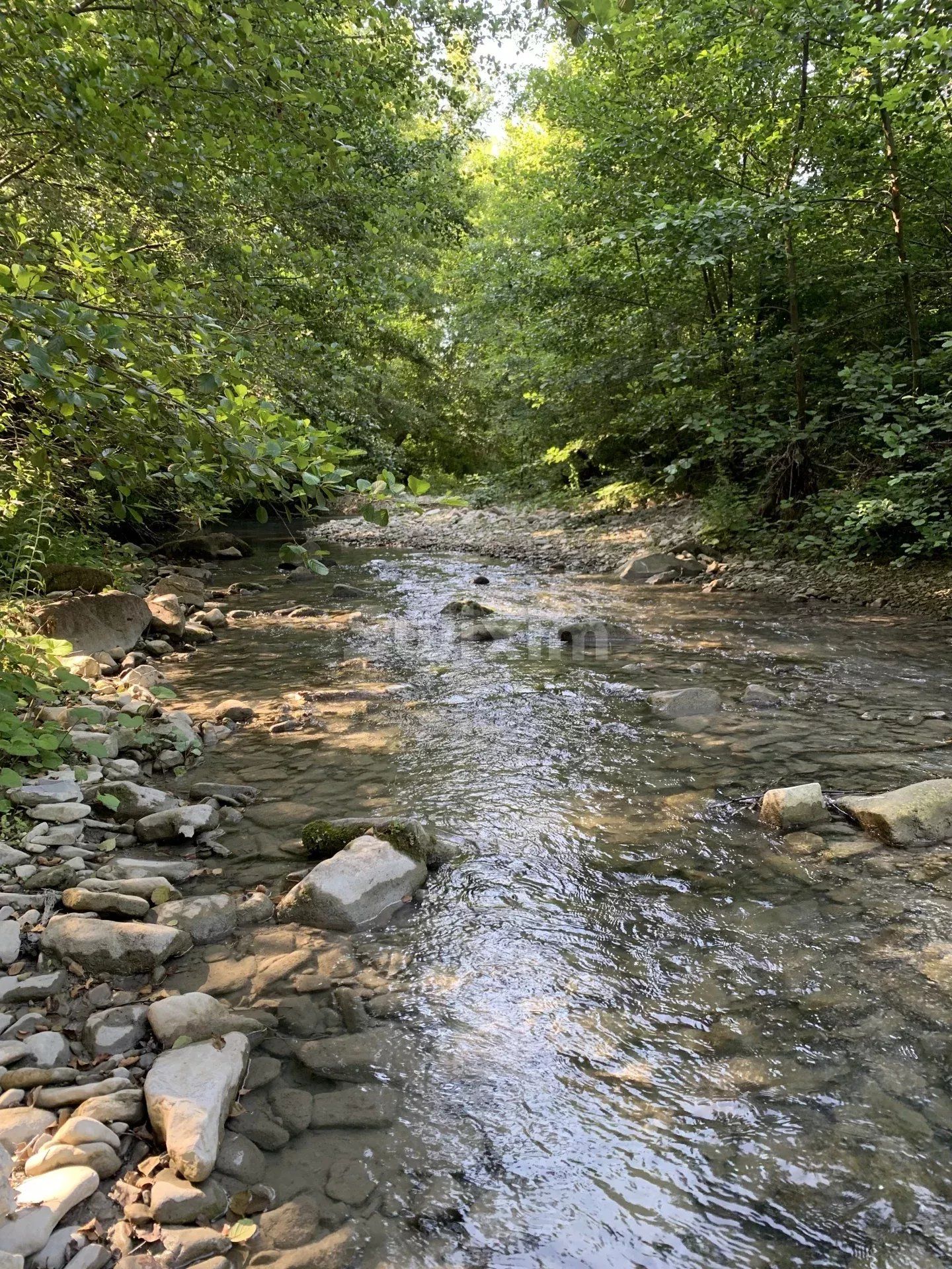 ferme 13 Pièces en vente sur Saou (26400)