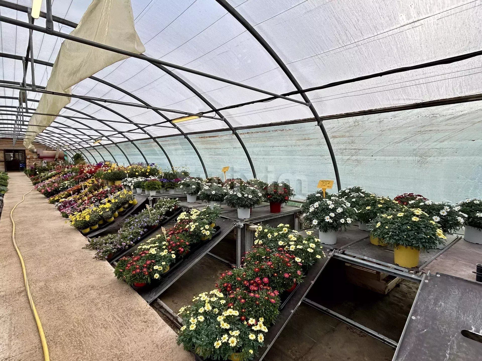 propriété viticole 4 Pièces en vente sur Lorgues (83510)