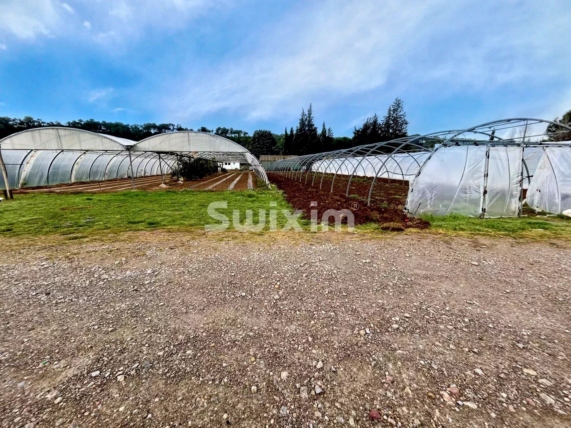 wine estate 4 Rooms for sale on Lorgues (83510)