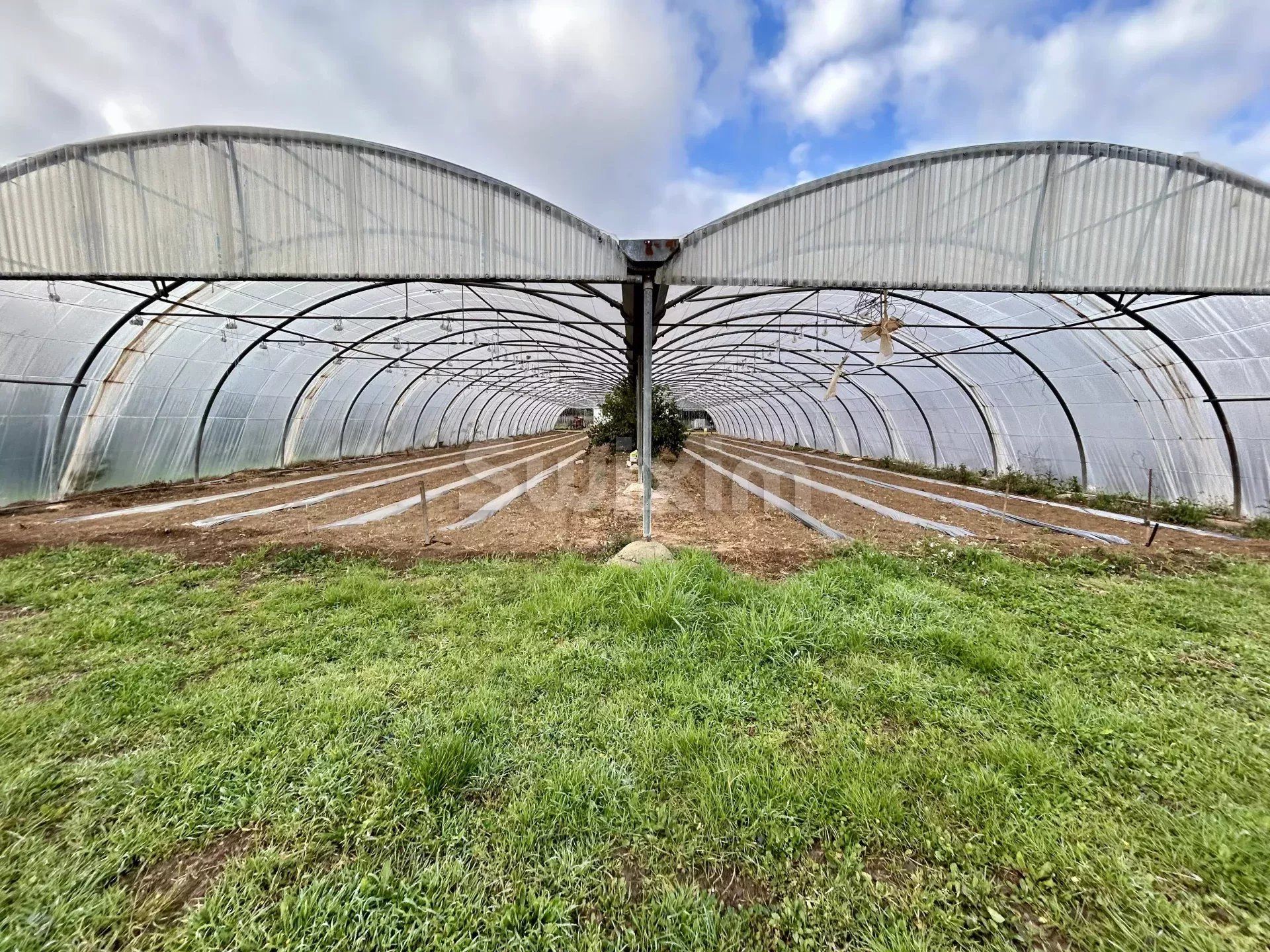 propriété viticole 4 Pièces en vente sur Lorgues (83510)