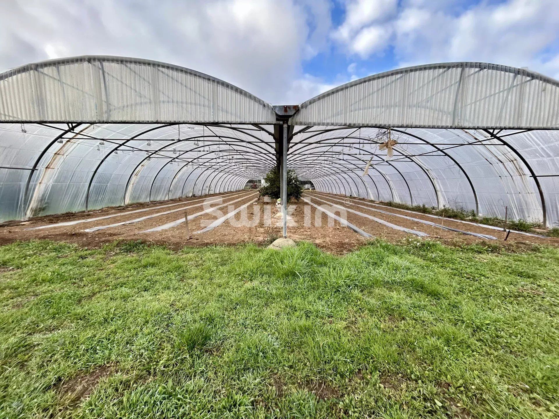 wine estate 4 Rooms for sale on Lorgues (83510)