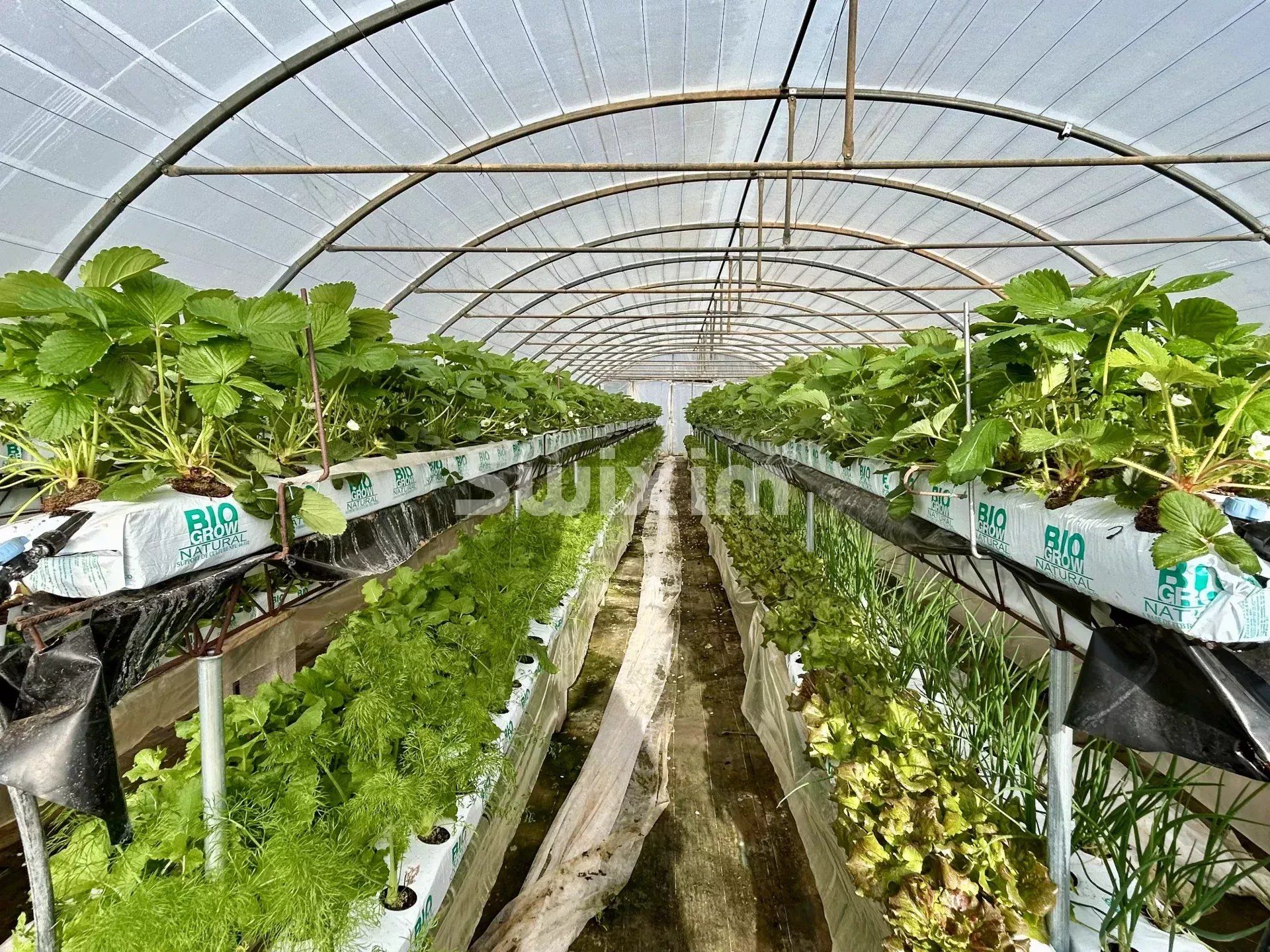 wine estate 4 Rooms for sale on Lorgues (83510)