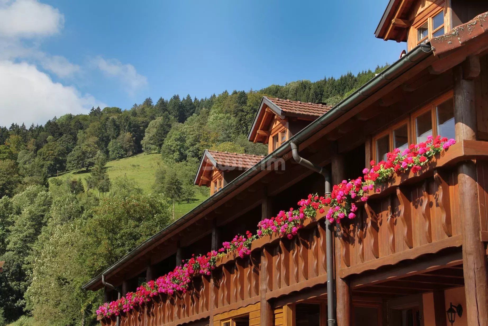 ferme 23 Pièces en vente sur Sainte-Marie-aux-Mines (68160)