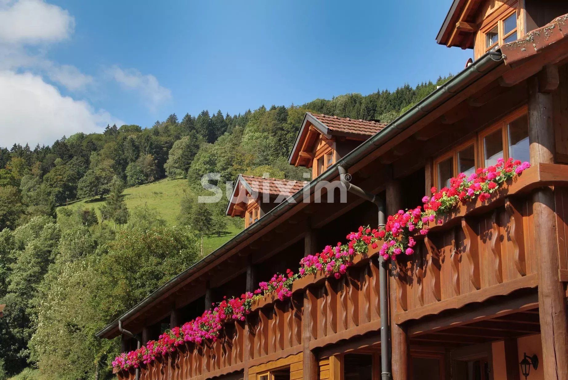 ferme 23 Pièces en vente sur Sainte-Marie-aux-Mines (68160)