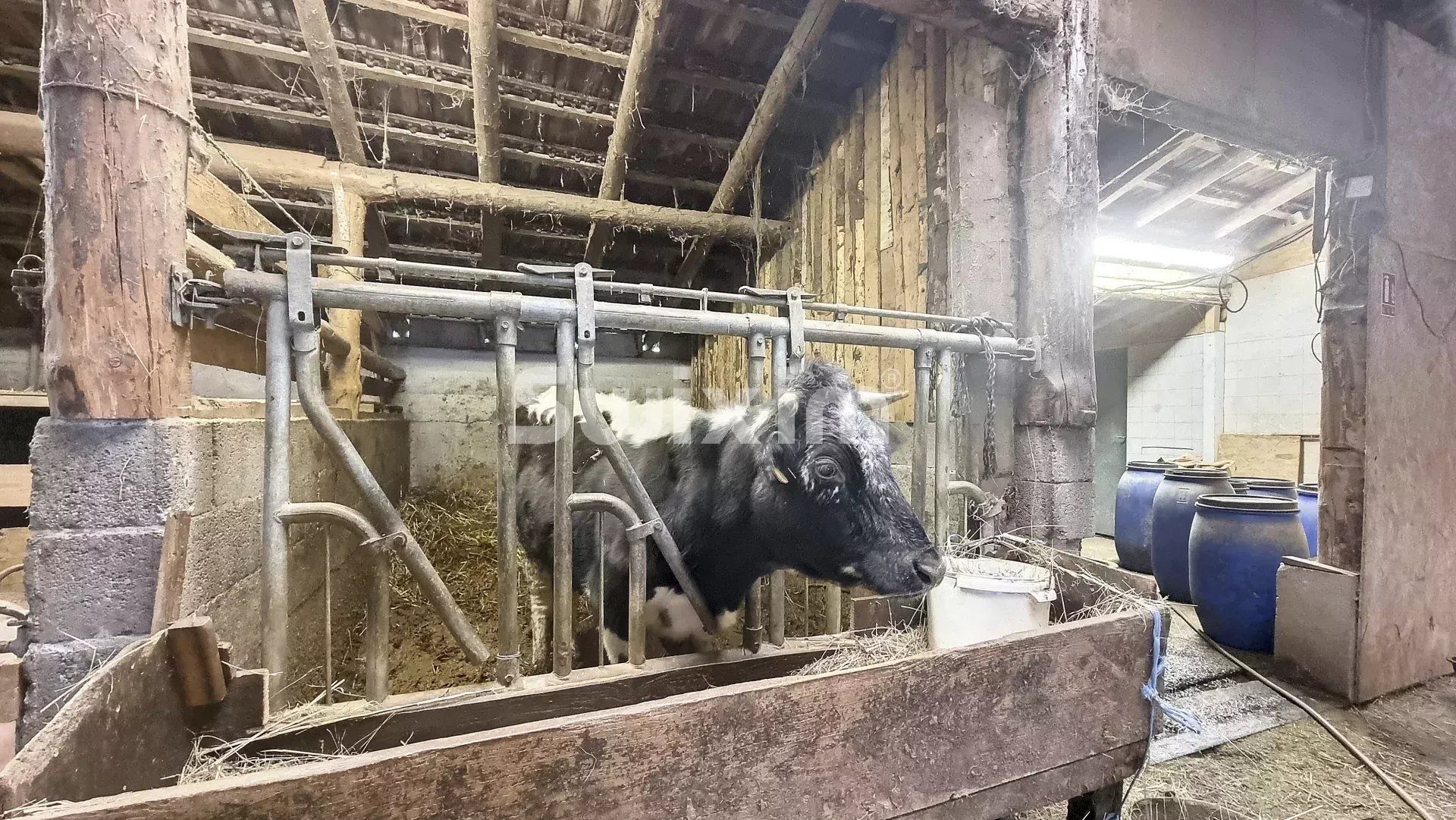 ferme 23 Pièces en vente sur Sainte-Marie-aux-Mines (68160)