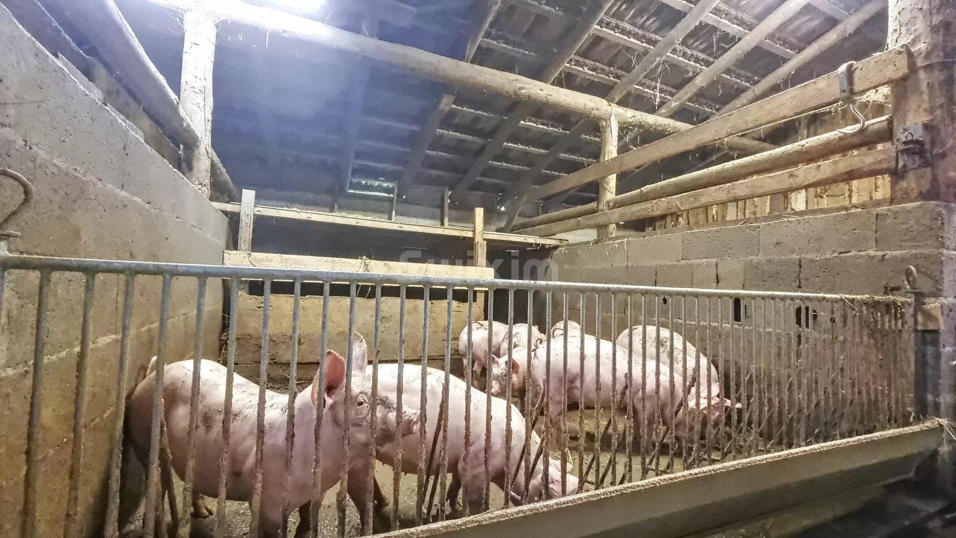 ferme 23 Pièces en vente sur Sainte-Marie-aux-Mines (68160)