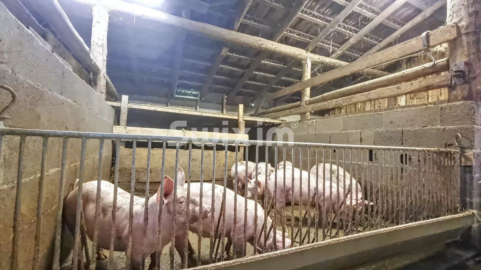 ferme 23 Pièces en vente sur Sainte-Marie-aux-Mines (68160)