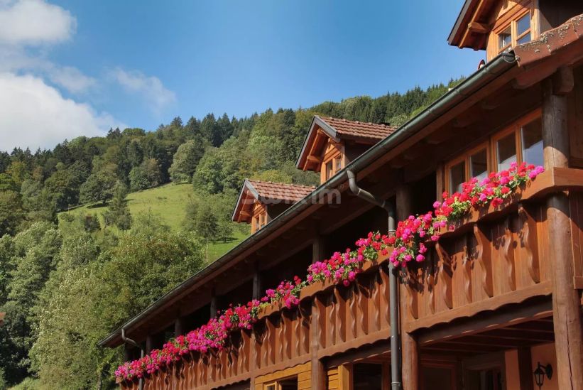 Vente Ferme Sainte-Marie-aux-Mines 23 Pièces 1958 m²