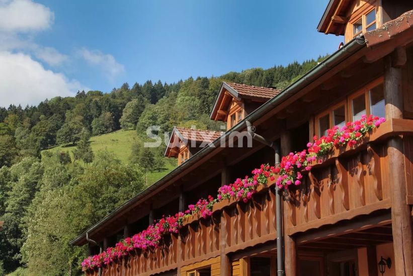 Venda Casa de campo Sainte-Marie-aux-Mines 23&nbsp;Quartos 1958&nbsp;m²