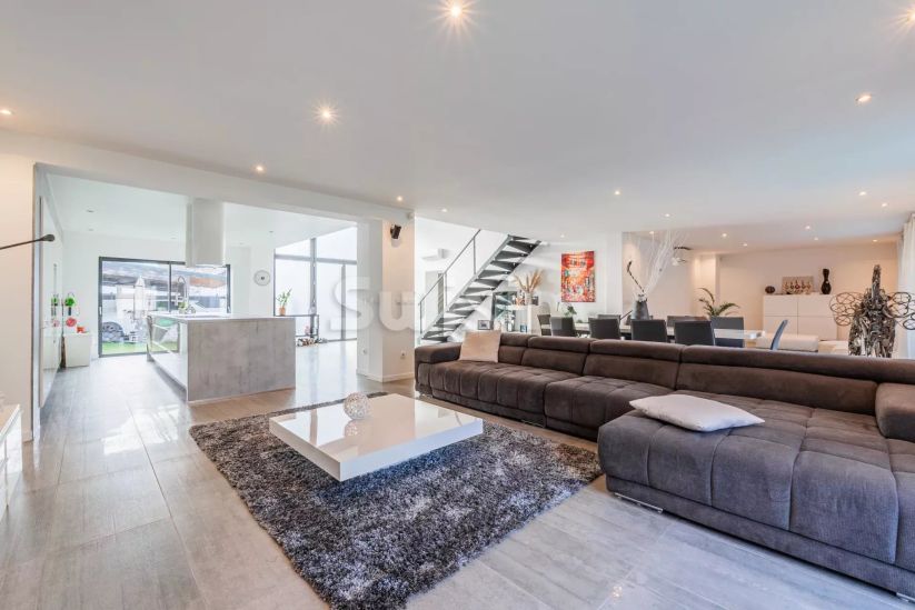 Vente Villa Strasbourg 10 Pièces 365 m²