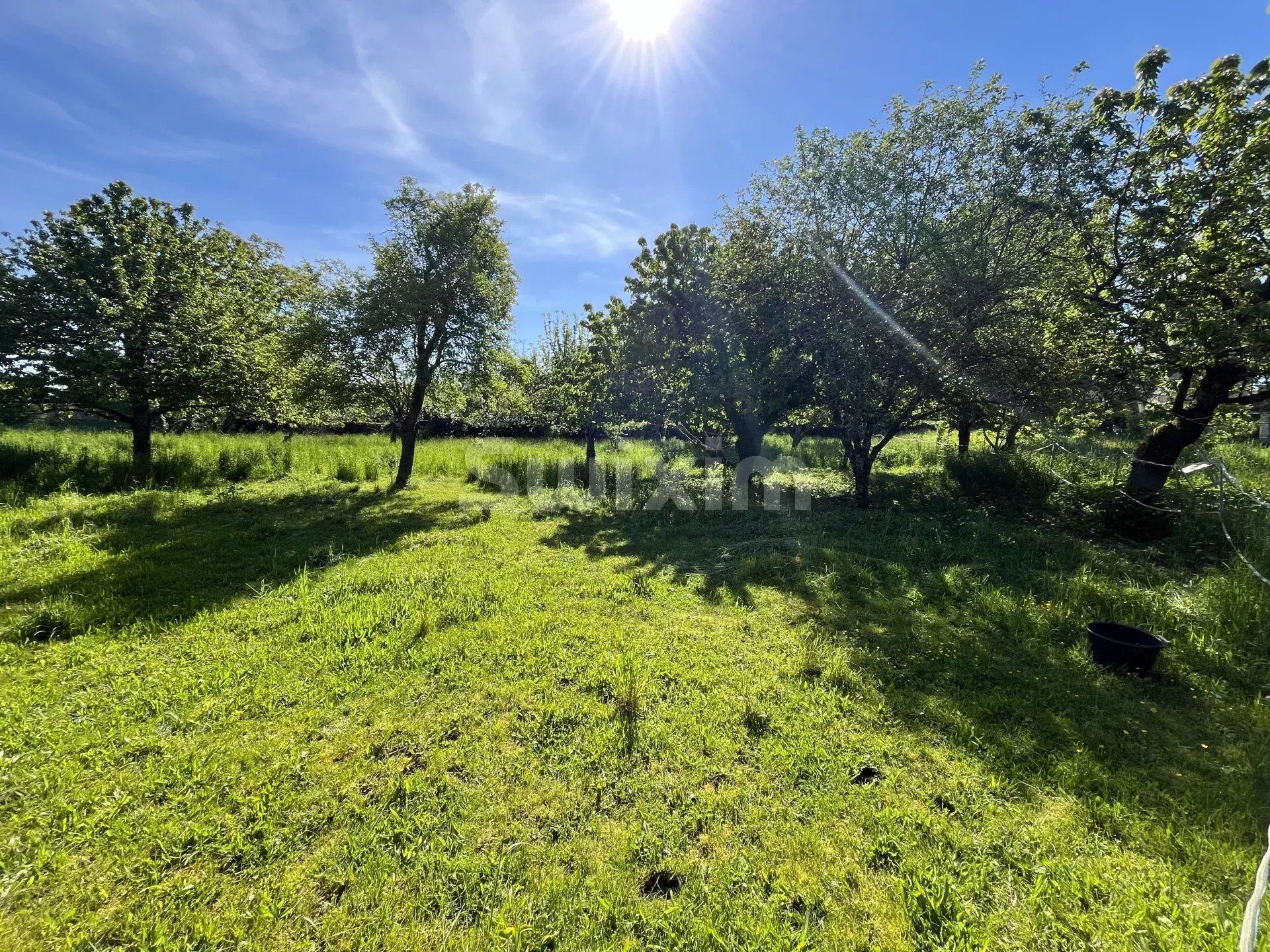 propriété 6 Pièces en vente sur Noyers (89310)