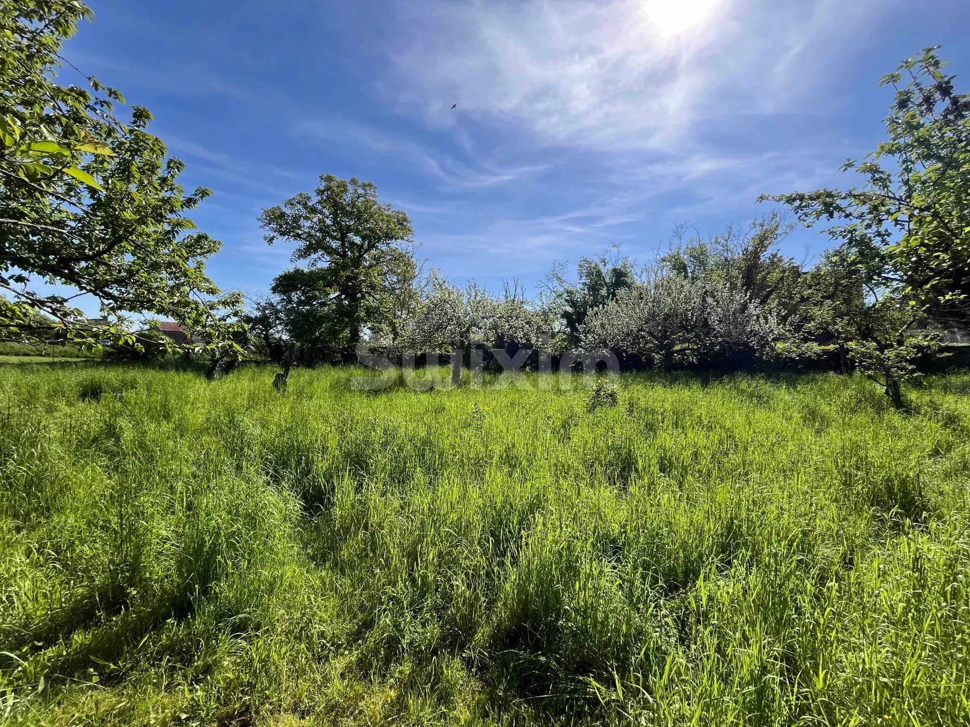 propriété 6 Pièces en vente sur Noyers (89310)