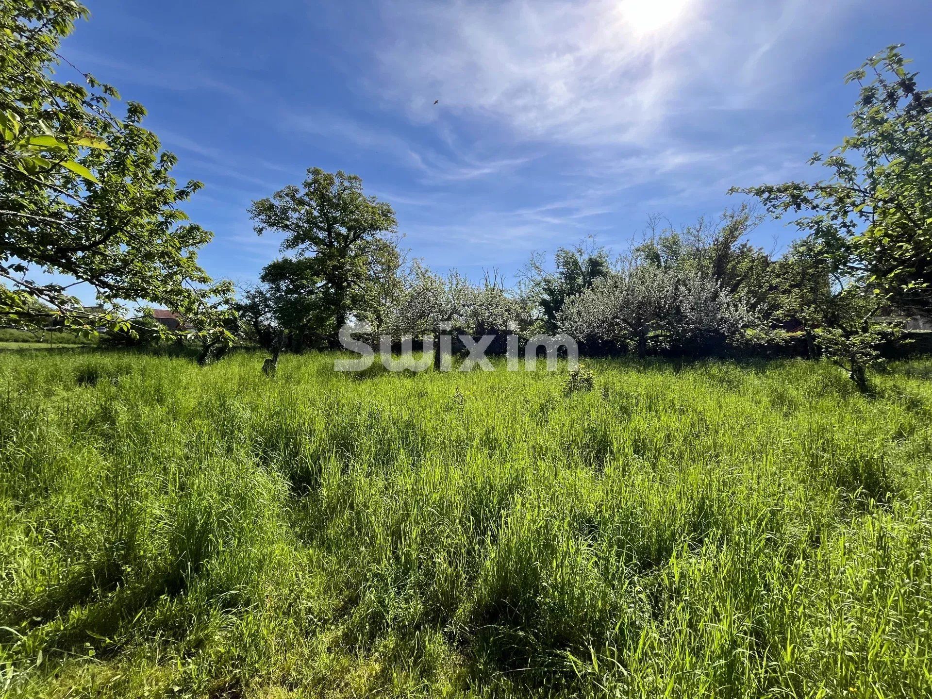 propriété 6 Pièces en vente sur Noyers (89310)