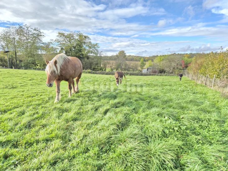 Vente Terrain à bâtir Mercey-le-Grand 1000 m²