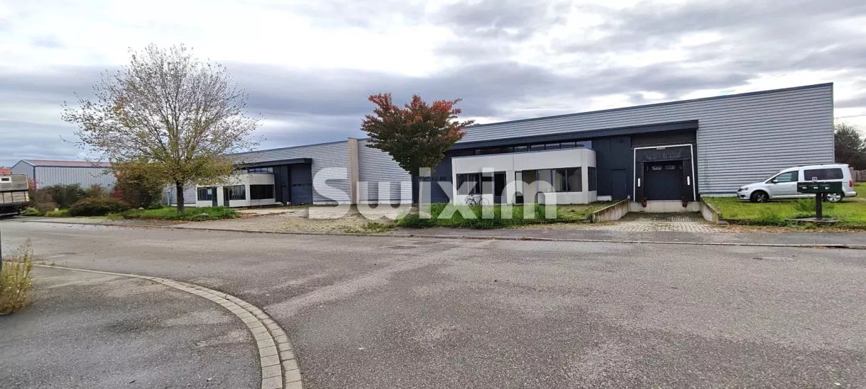 Alquiler Locale de actividad Sélestat 2000&nbsp;m²