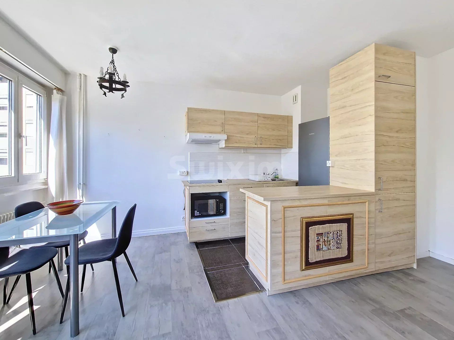 apartment 1 room for rent on Lancy (1212)