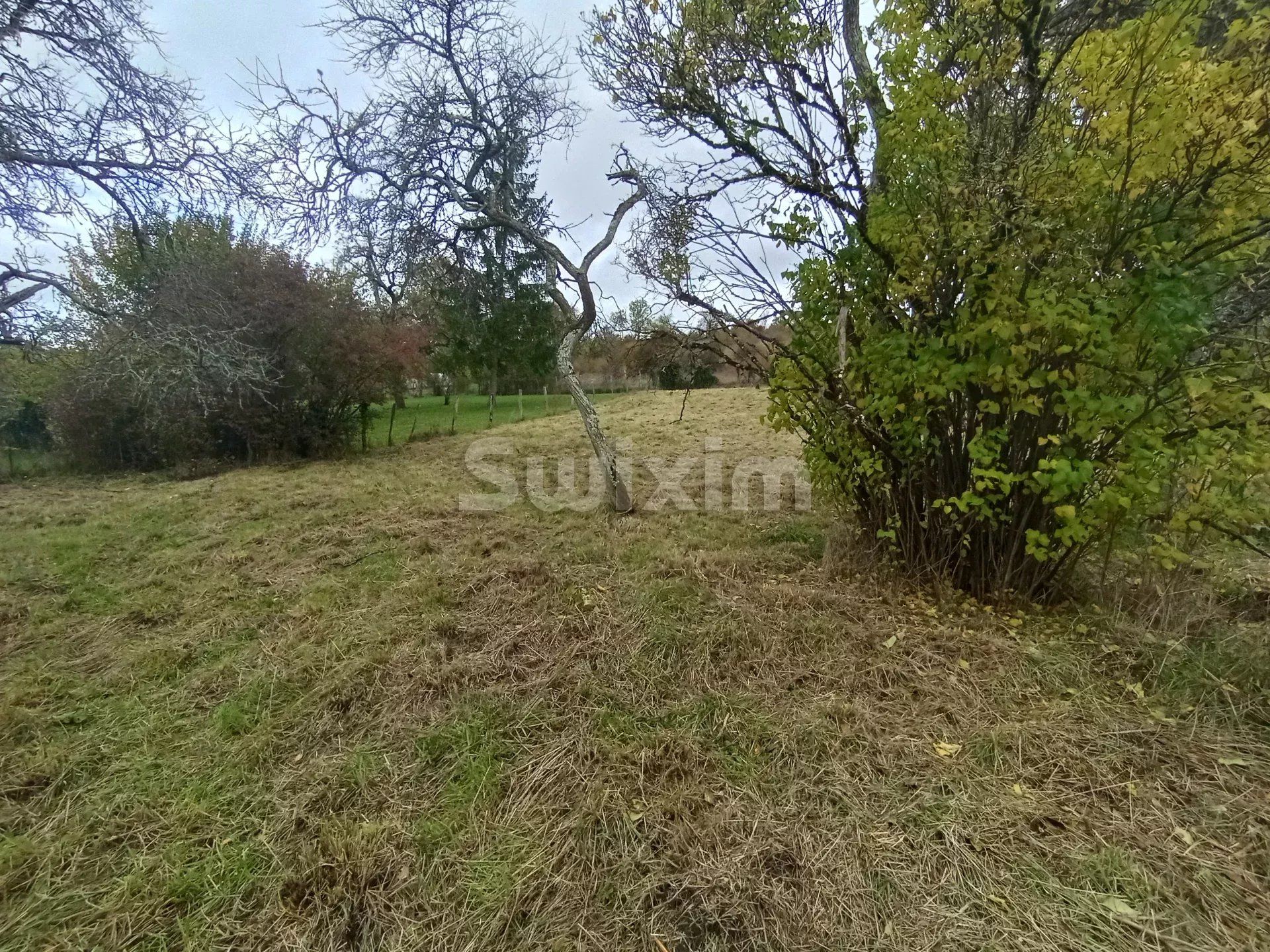 maison 2 Pièces en vente sur Bierry-les-Belles-Fontaines (89420)