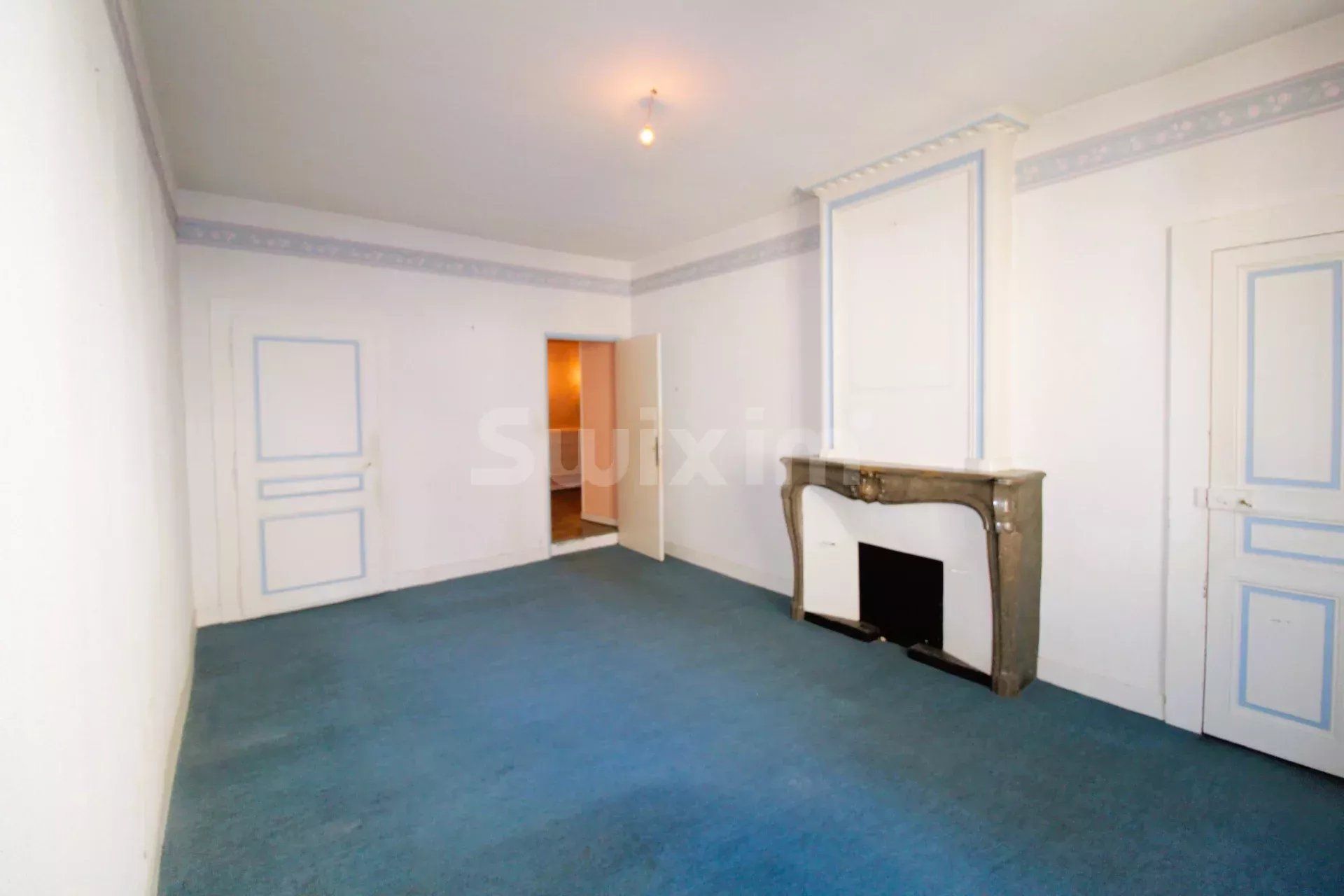 immeuble 13 Pièces en vente sur Saint-Amour (39160)