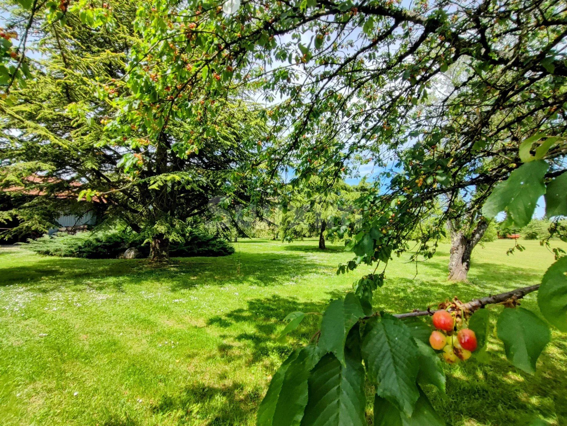 propiedad 9 Salas en venta en Beaune (21200)