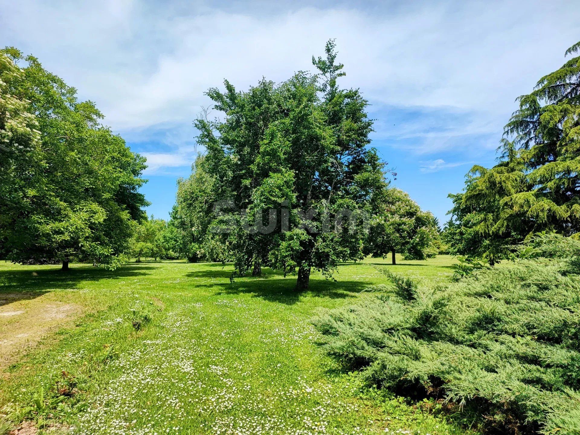 propiedad 9 Salas en venta en Beaune (21200)