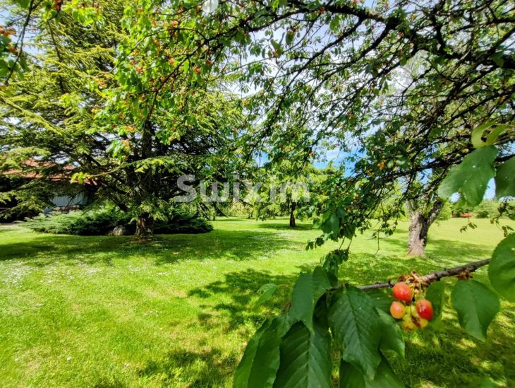 Sale Property Beaune 9&nbsp;Rooms 338&nbsp;m²