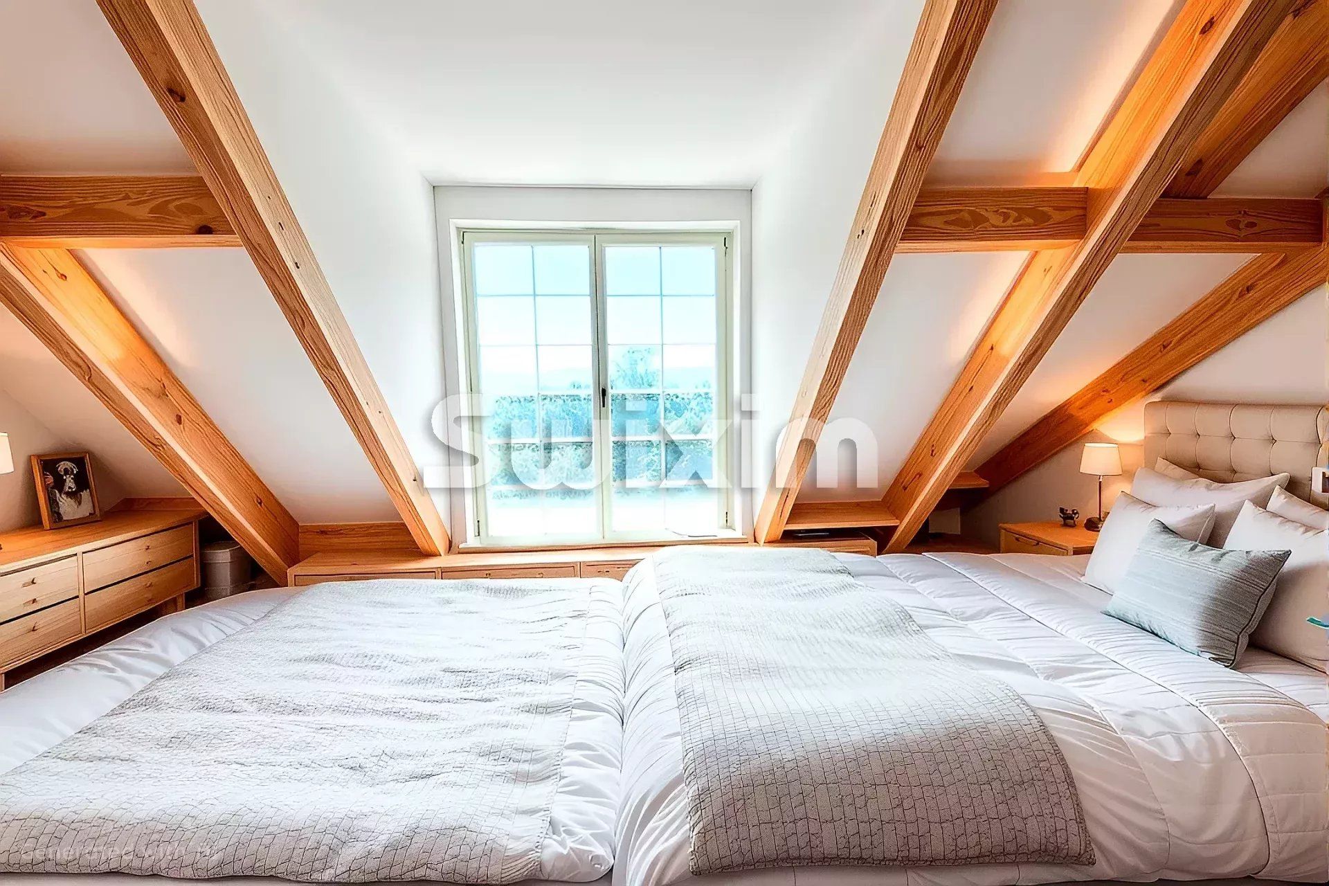 maison 15 Pièces en vente sur Échenevex (01170)