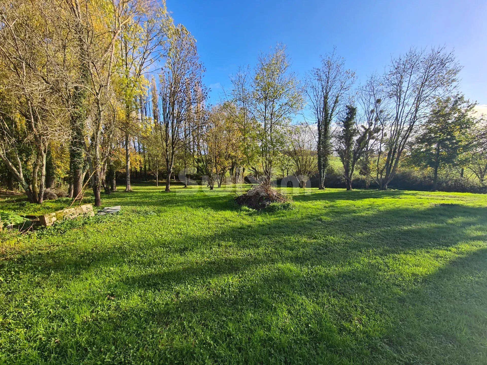 Vente Maison Chaussin 12 Pièces 90 m²