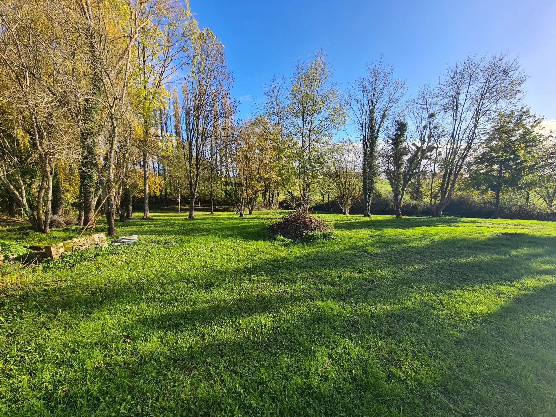 Vente Maison Chaussin 12&nbsp;Pièces 90&nbsp;m²