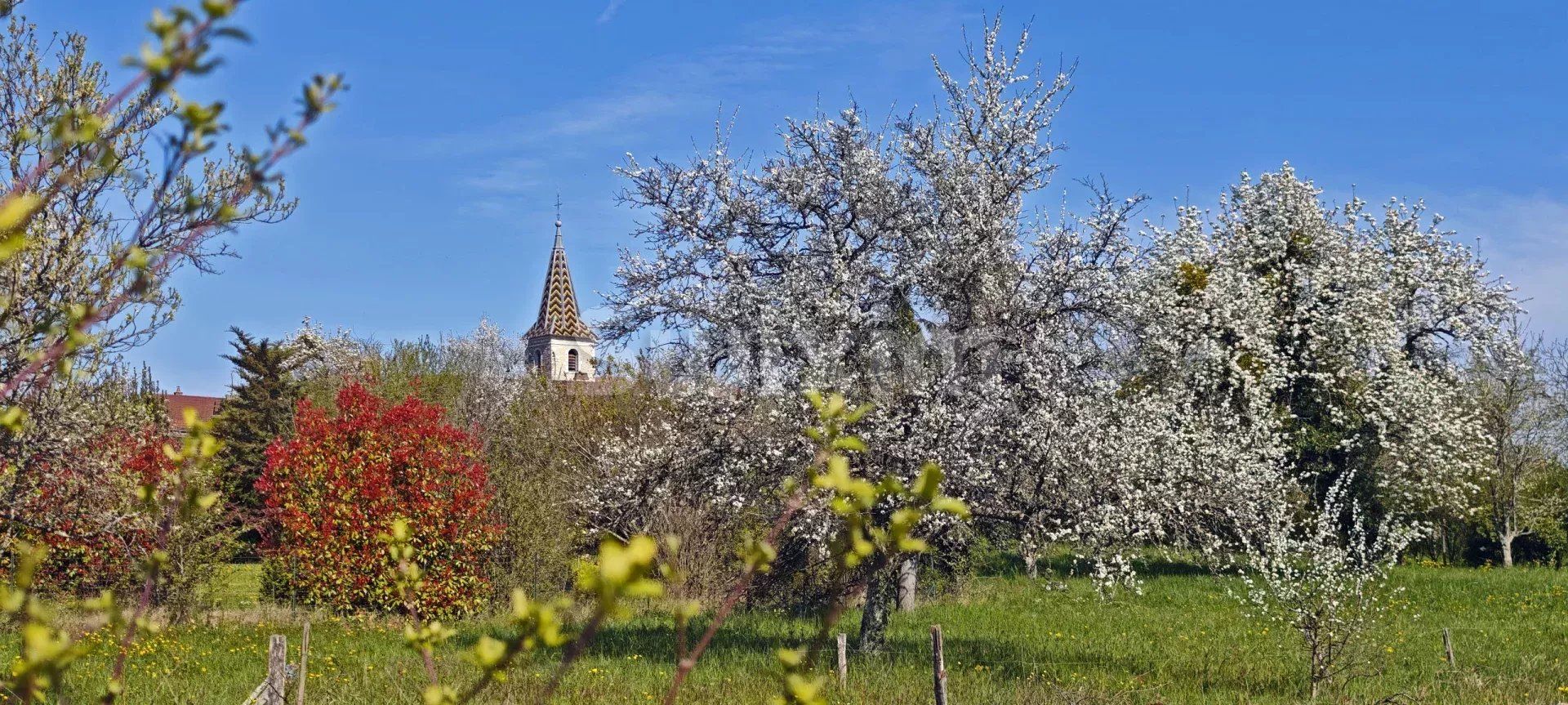 Venta Terreno Authume 2080 m²